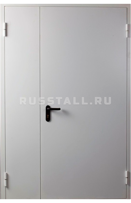 Входная дверь в подъезд RS129